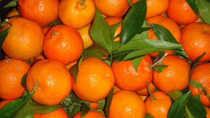 Tangerine6